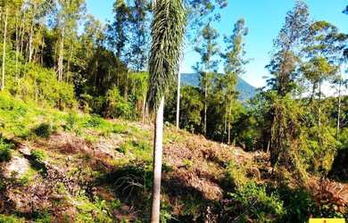 Imagem 13: Sítio / Chácara para Venda em Nova Petrópolis, Arroio Paixão