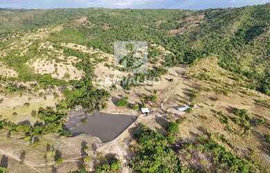 Imagem 6: Fazenda a venda em Faina-GO