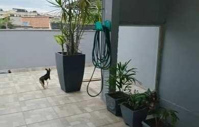 Imagem 16: Casa com 3 quartos com area externa e vaga - Boaçu - São Gonçalo-RJ