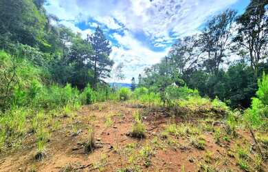 Imagem 7: Terreno para Venda em Nova Petrópolis, Linha Imperial