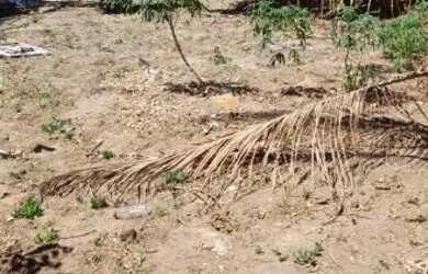 Imagem: O terreno possui 560m² de Área e está localizado em Recanto