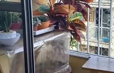 Imagem: O apartamento à venda possui 2 Dormitórios, 1 Banheiro, 1