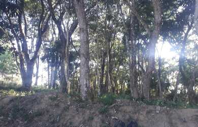 Imagem 6: Terreno. 1.000m² de Área