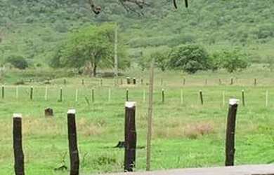 Imagem 2: Fazenda com rio em Iaçu-BA