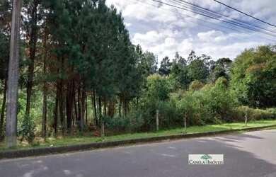 Imagem: O terreno possui 1.030m² de Área e está localizado em Canela