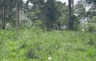 Imagem 7: Terrenos de 20.000m² com vista para a Pedra da Águia em Urubici