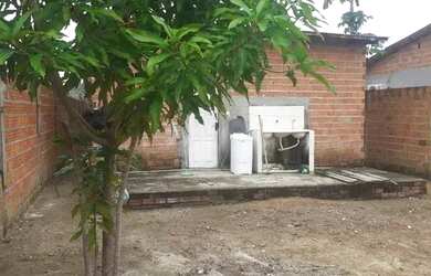 Imagem 7: Vendo no Sol Nascente trecho 1