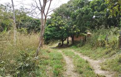 Imagem 2: Chácara em Aragoiania. 