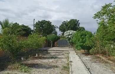 Imagem 6: SITIO DE 3/4 EM AREMBEPE