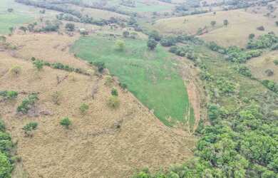 Imagem 13: Fazenda São Bento Bela Vista Goiás 32 Alqueires ou 68.5 alqueires ambos...