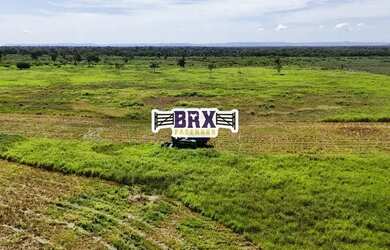 Imagem 16: Fazenda à venda ou arrendamento agrícola em Flores de Goiás