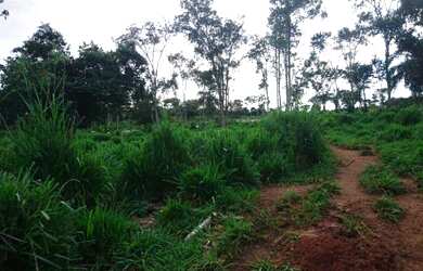 Imagem: A fazenda está localizado em Jandaia, GO à venda por R$1.800.000