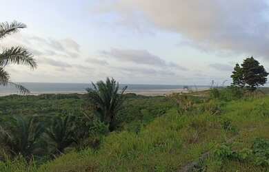 Imagem: O terreno possui 15.300m² de Área e está localizado em Araçagi