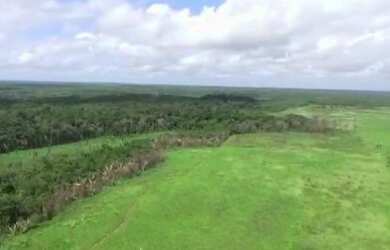 Imagem 8: R$2 milhões de reais fazenda a 80 km de Castanhal 50 alqueires
