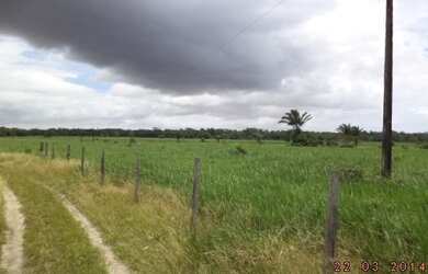 Imagem 3: R$ 2 milhões de reais fazenda pronta há 170 km de Belém