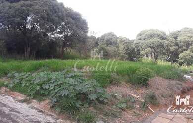 Imagem: O terreno está localizado em Estrela, Ponta Grossa à venda