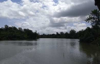 Imagem 5: R$ 2 milhões de reais fazenda pronta há 170 km de Belém