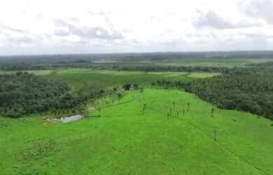 Imagem 10: R$2 milhões de reais fazenda a 80 km de Castanhal 50 alqueires