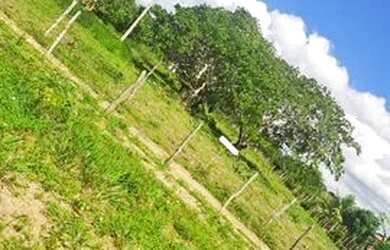 Imagem: O terreno possui 2.280m² de Área e está localizado em Maria