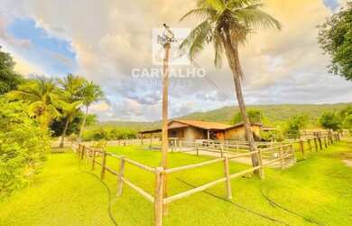 Imagem 15: Fazenda a venda em Faina-GO