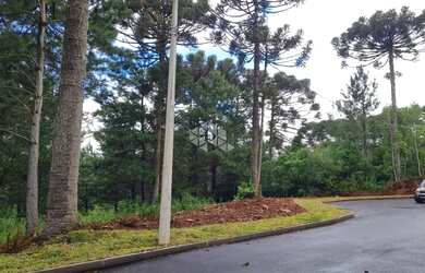 Imagem 4: TERRENO EM GRAMADO. 614m² de Área