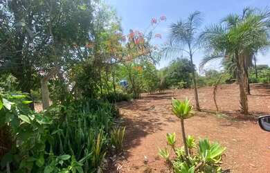 Imagem 16: Rancho com 3 dormitórios à venda, 200 m² por R$ 1.000.000,00 - Pieer...