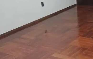 Imagem 3: Apartamento. Imóvel mobiliado, Área de serviço, 120m² de Áreae1 Vaga...