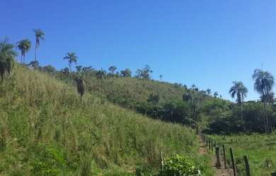 Imagem 1: Vendo - Fazenda 66.5 Alqueires Montividiu do Norte