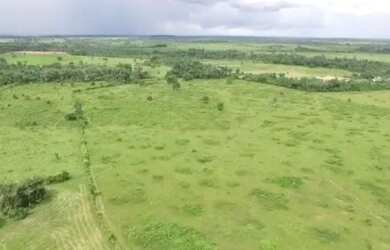 Imagem: A fazenda possui 87m² de Área e está localizado em Castanhal