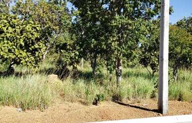 Imagem: A chácara possui 1.915m² de Área e está localizado em Plano