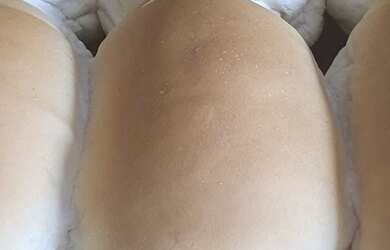 Imagem 1: Vendo Padaria Galpão / depósito com venda por R$390.000