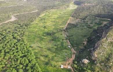 Imagem: A fazenda possui 1.402m² de Área e está localizado em Jeremoabo