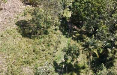 Imagem 12: Fazenda à Venda em Candeias - BA Fazendas à Venda na Bahia 32 Hectares...