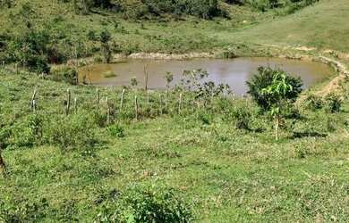 Imagem 5: Fazenda à Venda em Candeias - BA Fazendas à Venda na Bahia 32 Hectares...