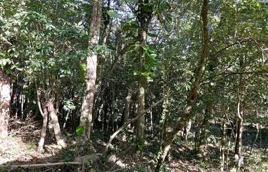 Imagem: A fazenda possui 1.100m² de Área e está localizado em Fazenda