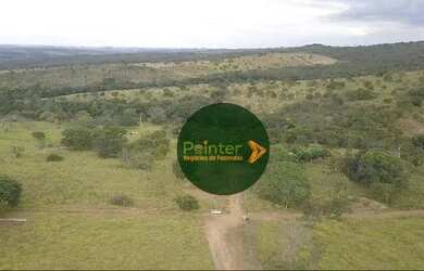 Imagem 8: Fazenda à venda, 72 hectares por R$ 2.500.000 - Zona Rural - Luziânia/GO