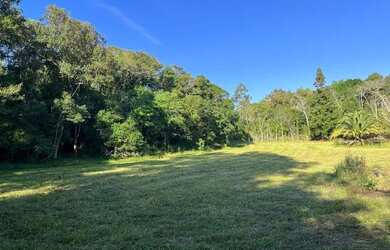 Imagem 6: Sítio Plano E Com Nascente Para Fazer Açude. ROB:364