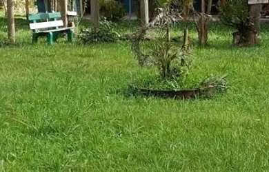 Imagem 2: Oportunidade dos sonhos Sítio em Canela