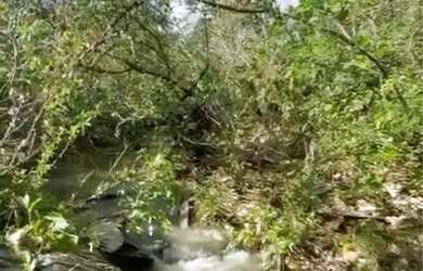 Imagem: A chácara possui 33m² de Área e está localizado em Alvorada