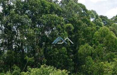 Imagem 16: Apartamento Mobiliado com 2 suítes para alugar, 94 m² por R$ 10.500/mês...