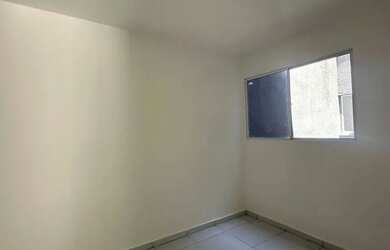 Imagem 10: Repasse pau amarelo