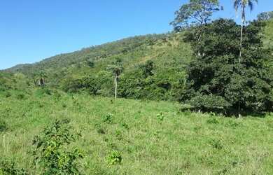 Imagem 6: Vendo - Fazenda 66.5 Alqueires Montividiu do Norte