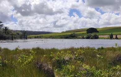 Imagem: A fazenda possui 850m² de Área e está localizado em Mamanguape