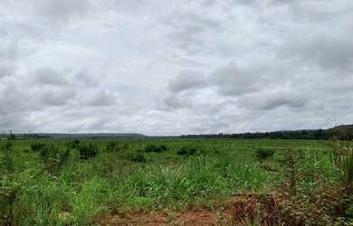 Imagem: A fazenda possui 3000-0m² de Área e está localizado em Castanhal