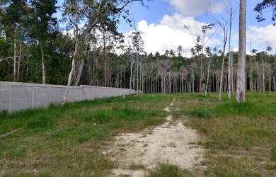 Imagem: O terreno possui 31.303m² de Área e está localizado em Porto
