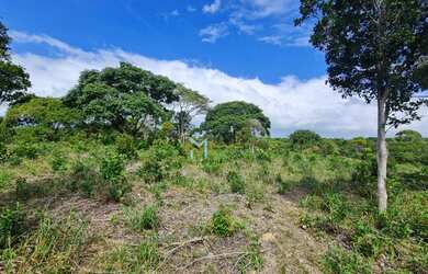 Imagem 6: Terreno para hotel ou condomínio coladinho na praia do espelho!