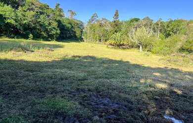 Imagem 3: Sítio Plano E Com Nascente Para Fazer Açude. ROB:364