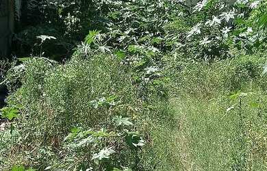 Imagem: O terreno possui 400m² de Área e está localizado em Vilar