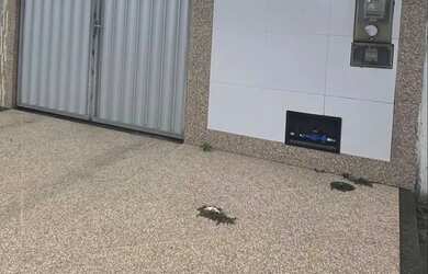 Imagem: A casa à venda possui 2 Dormitórios, 2 Banheiros e 1 Vaga