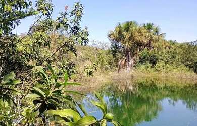 Imagem 2: Fazenda para comprar Zona Rural Três Marias